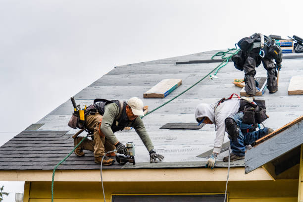 Professional Gutter Installation technician working in Islandton, SC