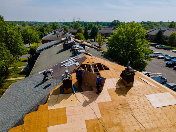 Trusted Roof Replacement service in Islandton, SC - Brentwood Metal Roofing